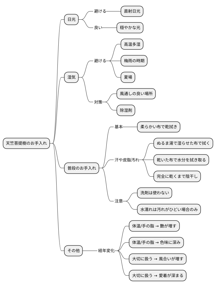 天竺菩提樹の手入れ