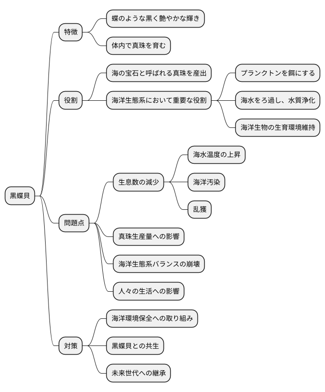 未来への継承