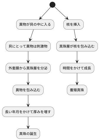 真珠の生成