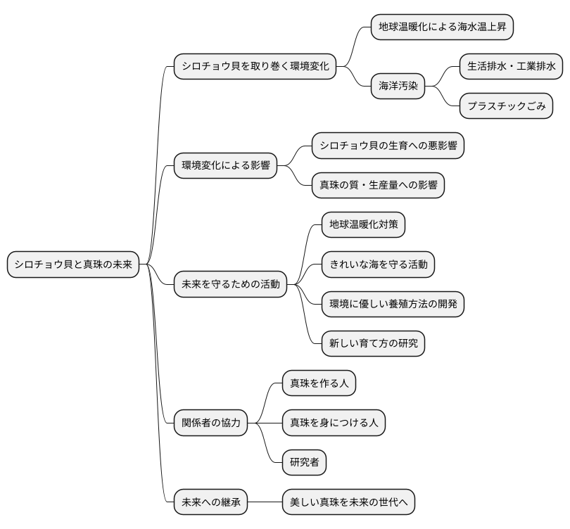 シロチョウ貝の未来